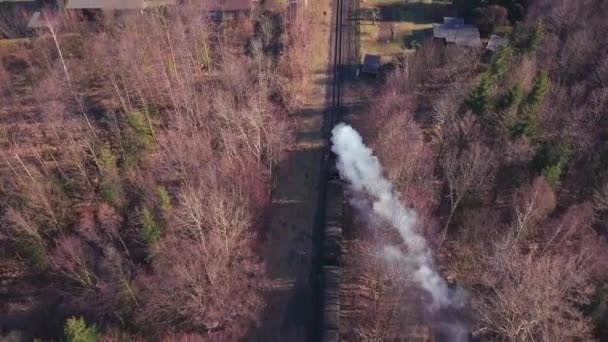 Pociąg Parowy Niemczech Ściganie Widok Lotu Ptaka Kolej Oybin Koło — Wideo stockowe