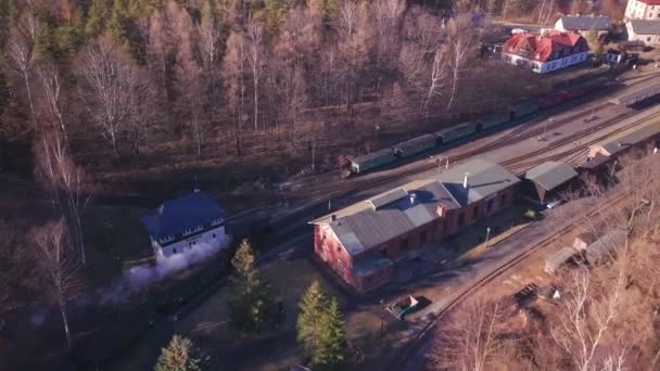 Воздушная Погоня Паровозом Германии Недалеко Циттау — стоковое видео