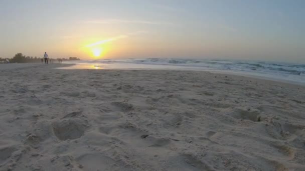 Tilt Shot Picturesque Sunset Paradise Beach — Wideo stockowe
