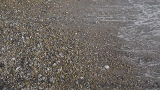 Хвилі Входять Виходять Кам Янистий Пляж Повільному Русі — стокове відео
