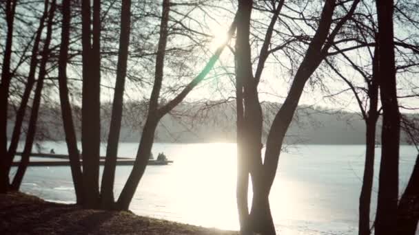 Sunset Trees Lake Video — Vídeo de Stock