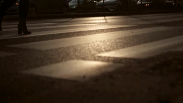 Pedestrian Crossing City Video — Stok video
