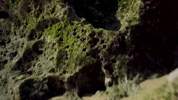 Naturaleza Mar Océano Orilla Piedras Rocas Ondas Arena Algas Soleado — Vídeos de Stock