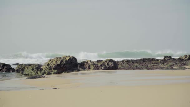 自然海洋海岸巨浪巨浪巨浪巨浪海草海草海草风阳光日光稳定射击4K — 图库视频影像