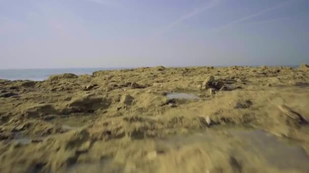 Nature Sea Ocean Shore Stones Rocks Waves Cliff Sand Seaweed — Stockvideo