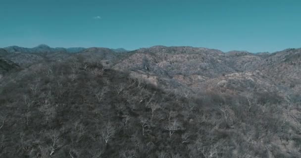 Letecký Snímek Sierry Sinaloi Venkovskou Silnicí — Stock video
