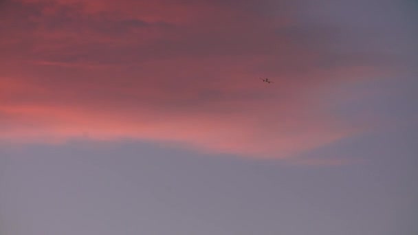 飞机起飞后 粉红天空场景 — 图库视频影像