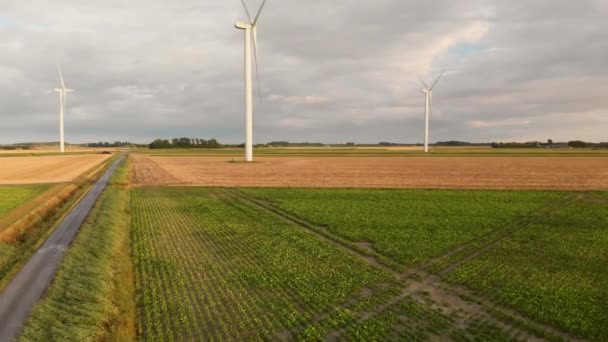 Turbinas Eólicas Durante Puesta Del Sol Suroeste Los Países Bajos — Vídeo de stock