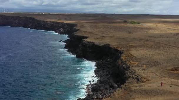 Aerial View Shoreline Cliffs Big Island Hawaii Cinematic Panorama Shot — Wideo stockowe