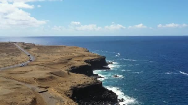 Aerial View Shoreline Cliffs Big Island Hawaii Ascending Drone Shot — стоковое видео