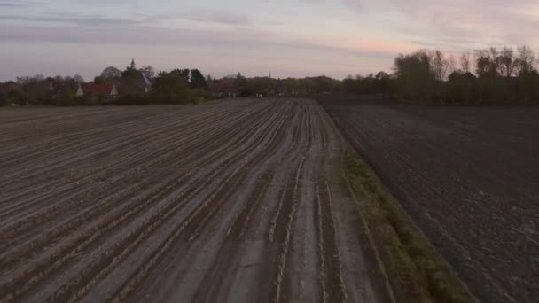 在日落期间 荷兰西南部的农村农业地区 动态空中射击 从空旷的田野飞向小村子 — 图库视频影像