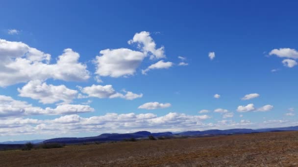Mavi Gökyüzü Beyaz Bulutlar Iyimser Taze Zaman Bulutları Çayırda Kaybolur — Stok video