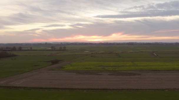 Сельское Хозяйство Закате Юго Западу Нидерландов Динамические Воздушные Выстрелы Летит — стоковое видео