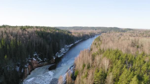 飞越拉脱维亚冻结的Gauja河 飞向前方 河的两边都是森林 空中景观 — 图库视频影像