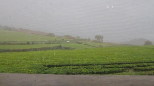 Une Plantation Thé Vue Une Fenêtre Intérieure Sous Pluie Sao — Video