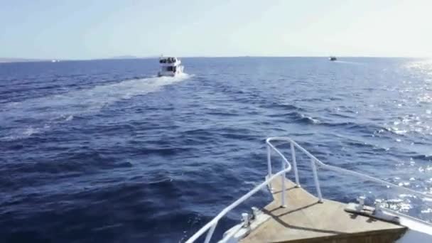 Loisirs Mer Rouge Voyage Egypte Devant Bateau Dérivant Dans Les — Video