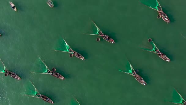越洋数百艘传统锥形篮船和拖网渔船的空中射击 — 图库视频影像