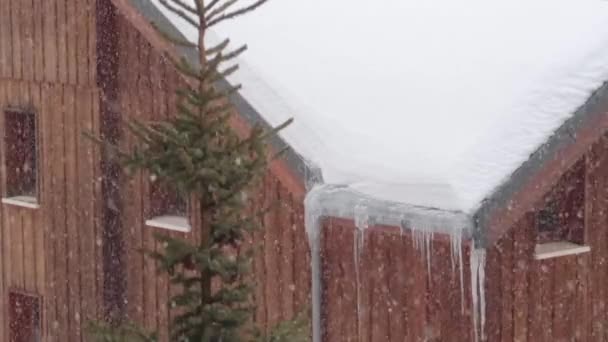 氷柱と松の木のある木造建築物の上の山のリゾート地の強い雪 — ストック動画