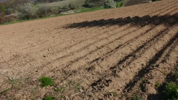 Fields Planted Potatoes Rhodope Mountains Bulgaria Mountain Farming Spring Landscape — Vídeo de Stock