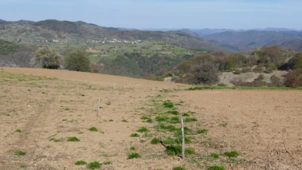 Fields Planted Potatoes Rhodope Mountains Bulgaria Mountain Farming Spring Landscape — Stock Video