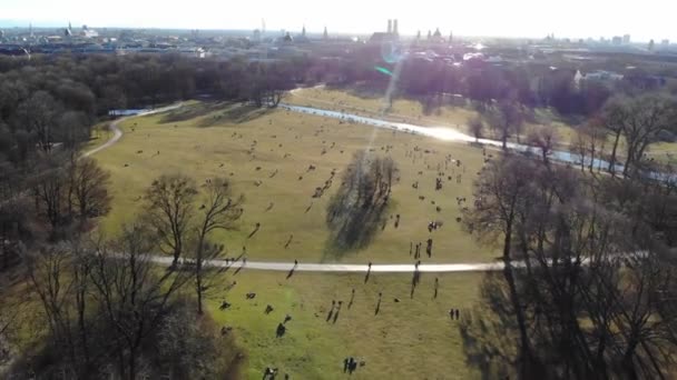 English Garden München Middag Februrary 2019 Van Boven — Stockvideo