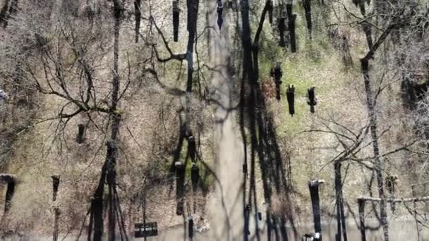 Alter Nordfriedhof Munich Cementery Πάνω Από Την Άποψη — Αρχείο Βίντεο