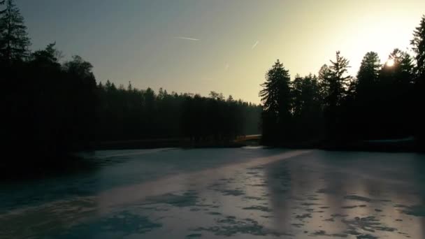 Winter Lake Drone Flight Aerial Frozen Water Forest Pine Trees — 비디오
