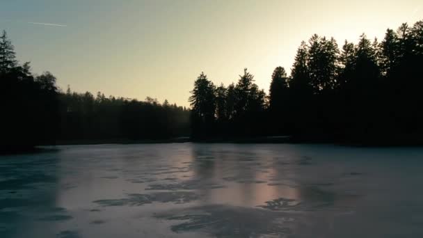 Donmuş Göl Üzerinde Hava Aracı Uçuşu Kış Güneşli Çam Ağaçları — Stok video