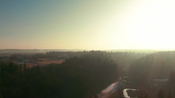 Winter Lake Drone Flight Aerial Frozen Water Forest Pine Trees — Vídeos de Stock