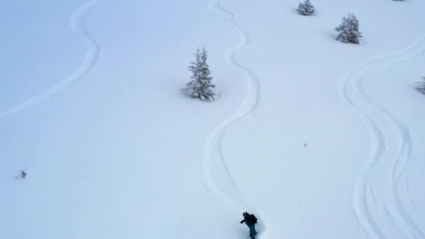 上空からの新雪の中でスノーボーダーを追跡する空中ショット 冬のフランスアルプスでは — ストック動画
