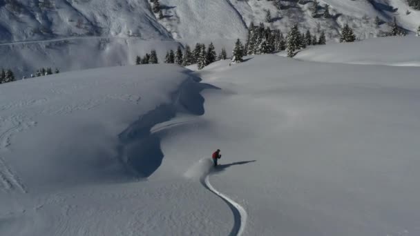 Plan Aérien Suivant Snowboarder Hors Piste Dans Neige Fraîche Travers — Video