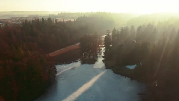 Winter Lake Drone Flight Aerial Frozen Water Forest Pine Trees — Stok video