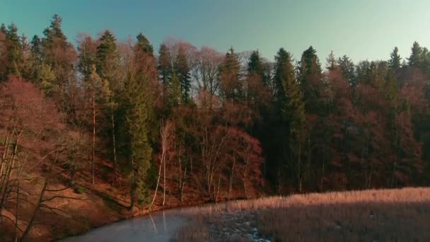Winter Lake Drone Flight Aerial Frozen Water Forest Pine Trees — Stock videók