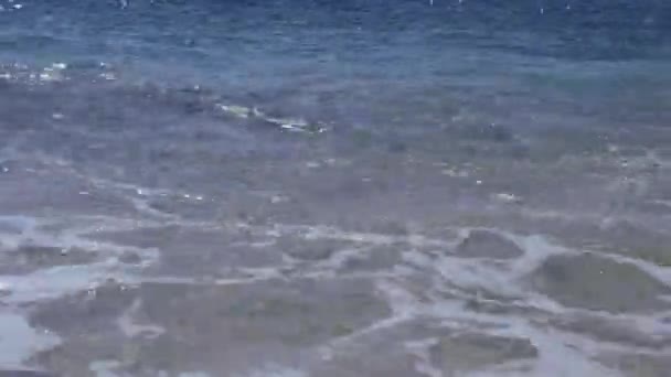 Голубые Волны Песчаном Пляже Красное Море Египте — стоковое видео
