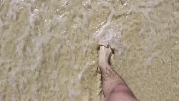 Walking Sea Paradise Beach Sunny Day Travel Egypt Leisure Time — Stockvideo