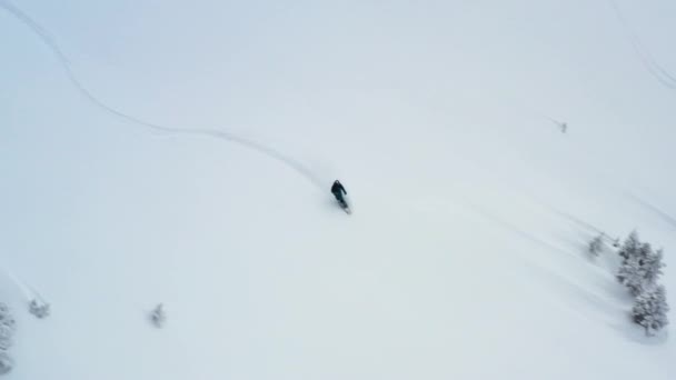 Αεροφωτογραφία Παρακολούθησης Snowboarder Εκτός Πίστας Στο Fresh Snow Στις Γαλλικές — Αρχείο Βίντεο