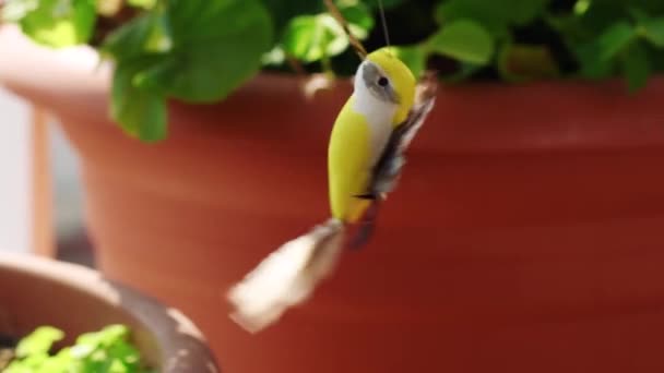 Pássaro Brinquedo Vasos Flores Batendo Asas — Vídeo de Stock