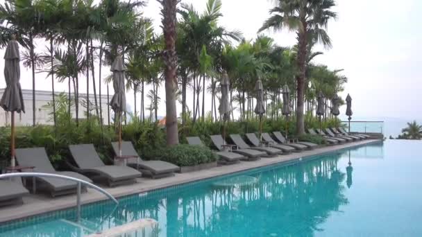 Schöner Pool Strand Mit Palmen Und Liegestühlen — Stockvideo