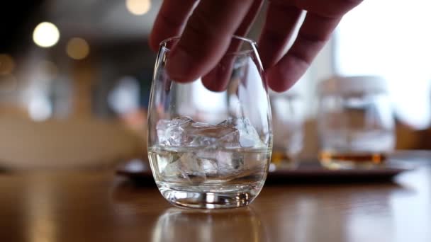 Whisky Tasting Whiskey Factory Japan — стоковое видео