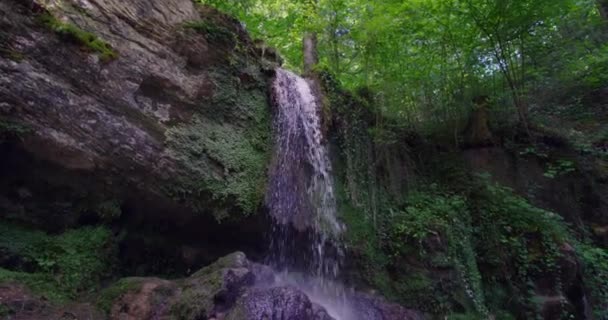 Egy Kis Vízesés Egy Erdőben — Stock videók