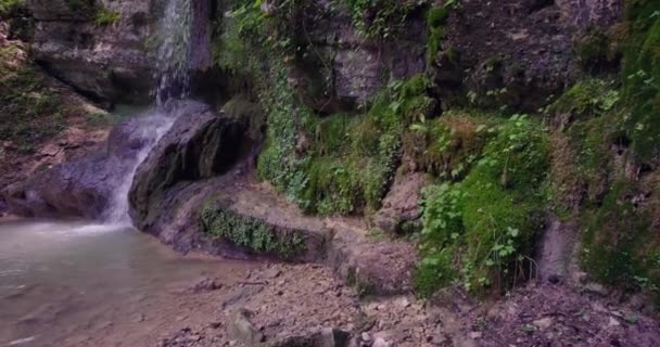 Small Waterfall Forest — Stock Video