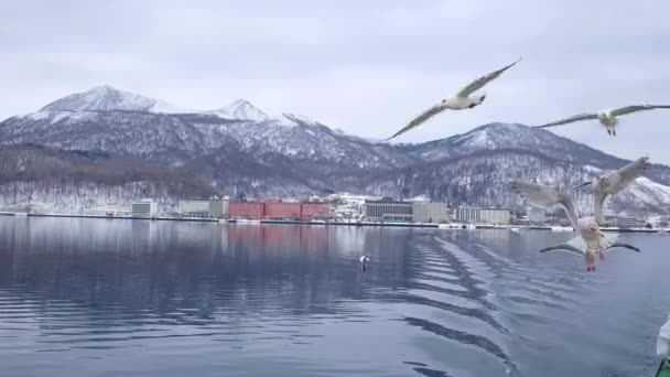 Boat Trip Lake Hokkaido People Feeding Seagulls — Vídeo de stock