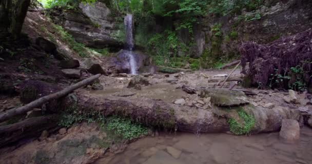 Small Waterfall Forest — Stock Video