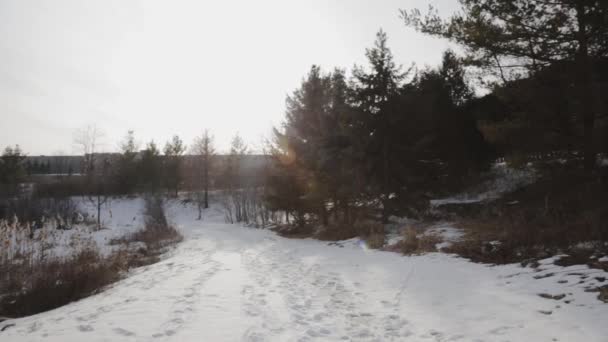 Panning Shot Suburban Forest Trail — Stock Video