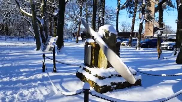 Προπέλα Αεροπλάνου Χιονάτη Αλλά Ηλιόλουστη Χειμωνιάτικη Μέρα Border Netherland Γερμανία — Αρχείο Βίντεο