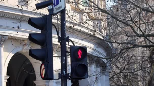 Traffic Junction Crossing Znaki Trafalgar Square Wyświetlanie Różnych Znaków Płci — Wideo stockowe