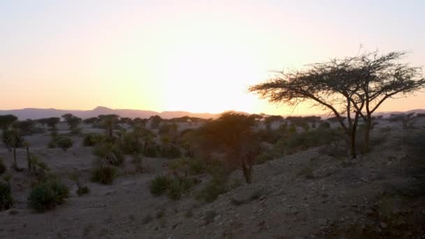 Sahara Desert Morocco Sunset Shot Handheld Right Left Pan — стокове відео