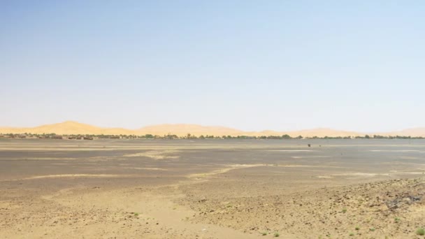 Desert Town Merzouga Moroccan Sahara Background High Sand Dunes Pan — Stock Video