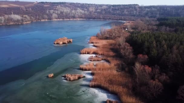 Aerial Landscape Reverse Shot Just Frozen Lake Reeds Pinetrees Szcsi — Vídeo de stock