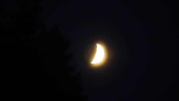 Zeitraffer Kamerafahrt Vom Mond Der Sich Hinter Bäumen Und Durch — Stockvideo